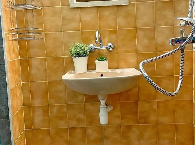 компас 부르가스